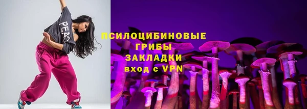 дживик Вязники