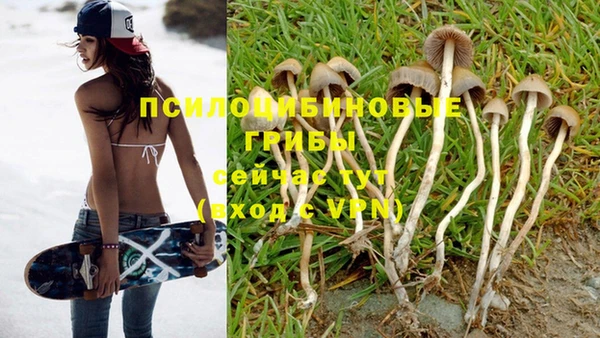 эйфоретик Горняк