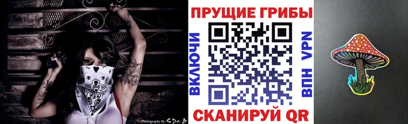 Галлюциногенные грибы Psilocybe  это формула  Назрань  купить  цена 